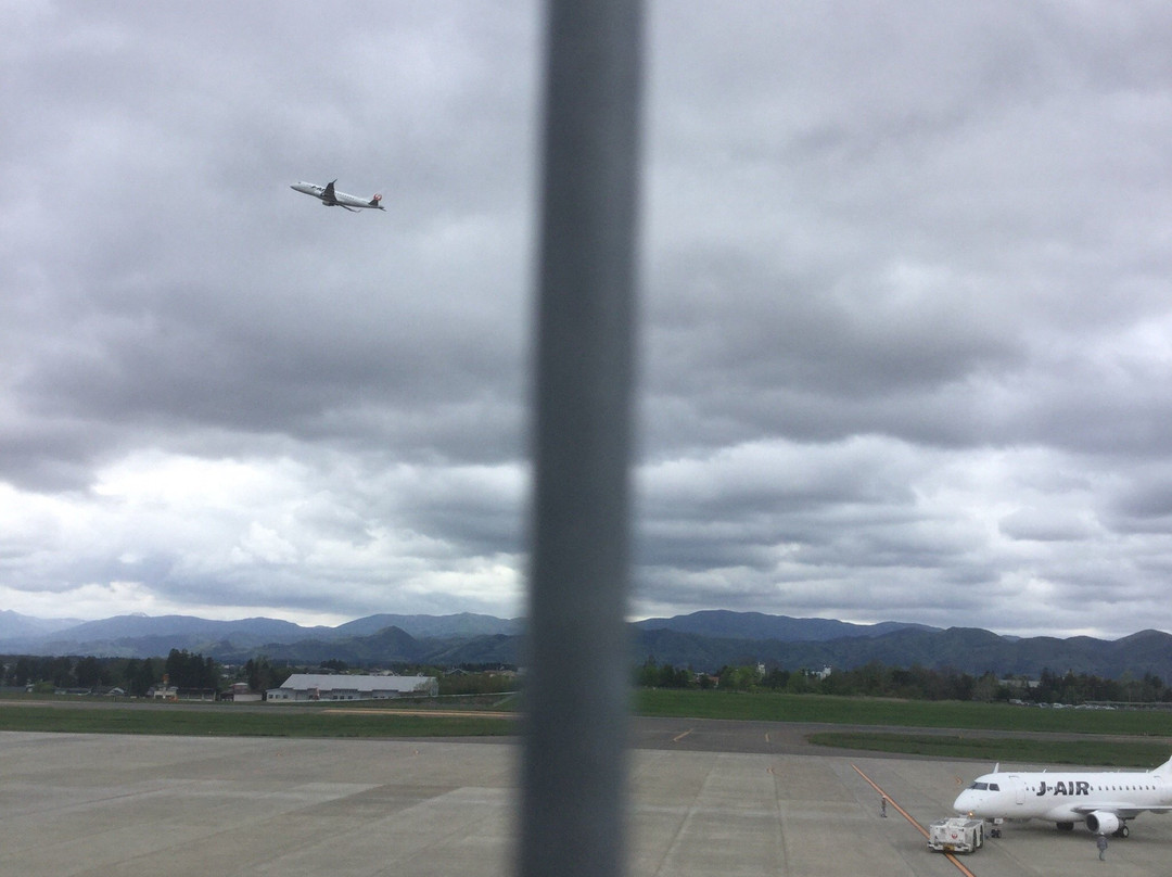 Iwate Hanamaki Airport Information Center-花卷市必去景点