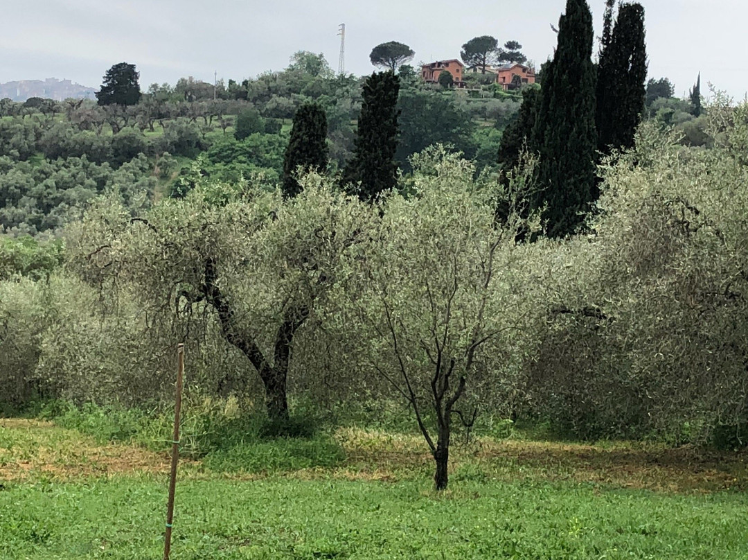 Agriturismo Cento Ducati