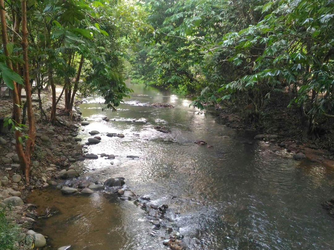 Riverside Janda Baik-武吉丁宜高原必去景点