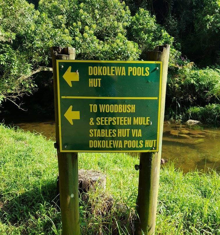 Magoebaskloof Hiking Trail-参宁必去景点