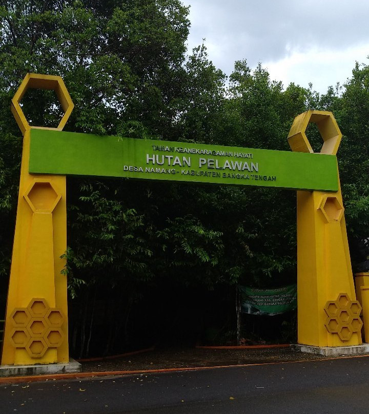 Pelawan Forest景点图片