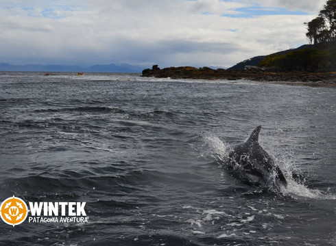 Wintek Patagonia Aventura-蓬塔阿雷纳斯必去景点