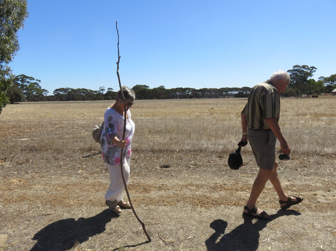 Duck Lagoon-袋鼠岛必去景点