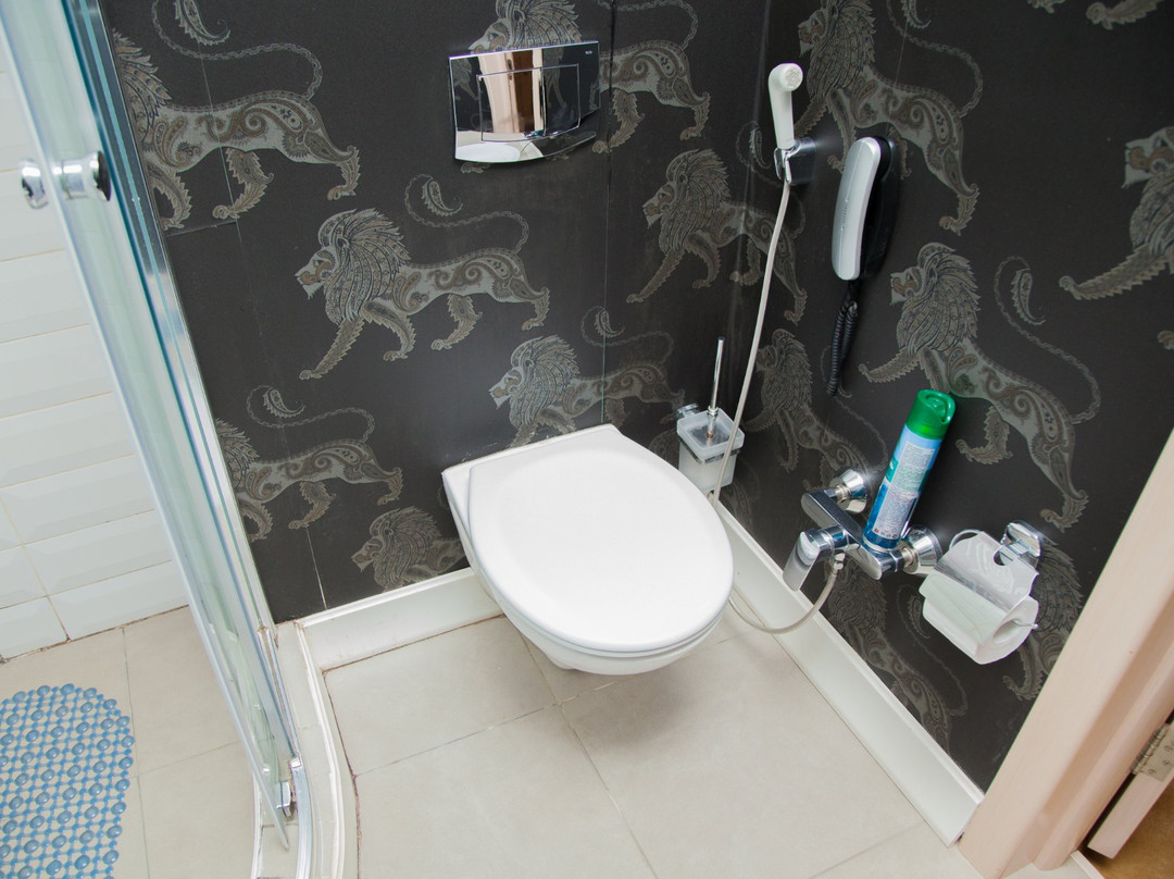 Stary Gorod Hotel主图