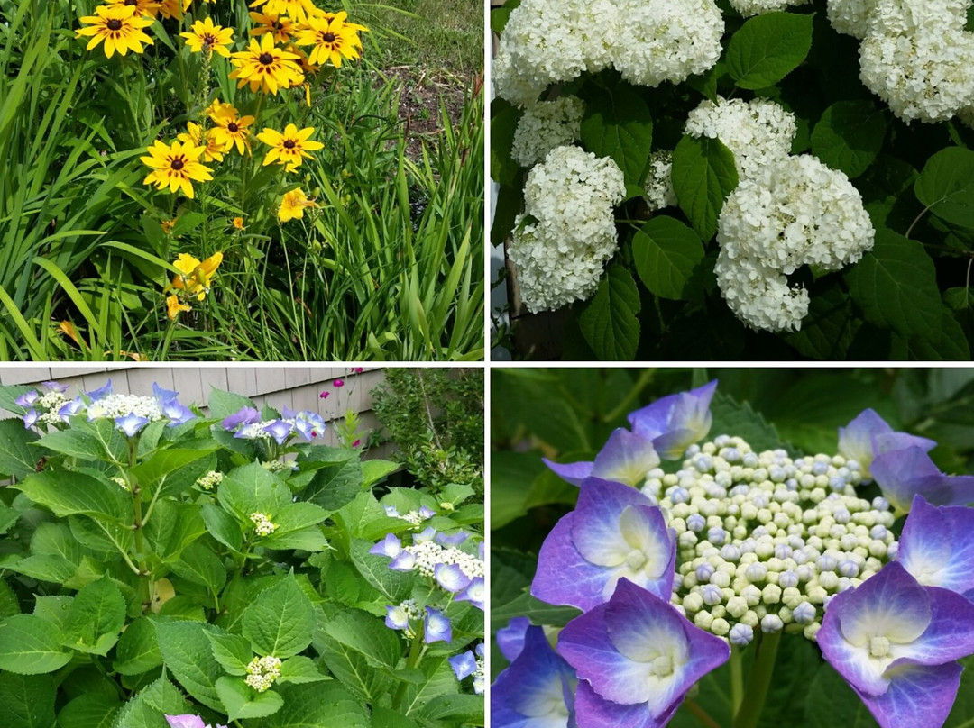 Chatham Guest Rooms主图