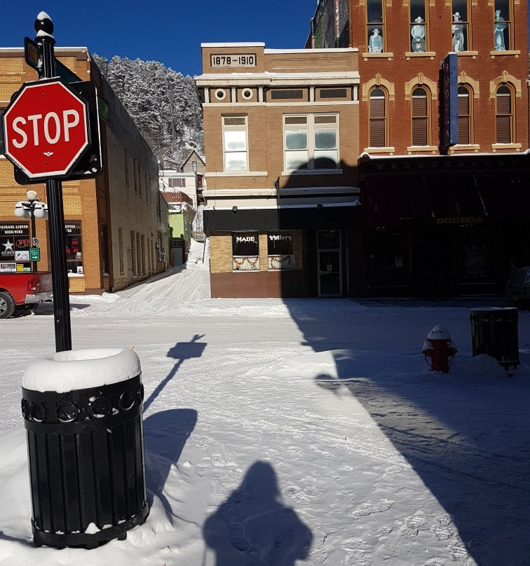 The Hotel By Gold Dust主图