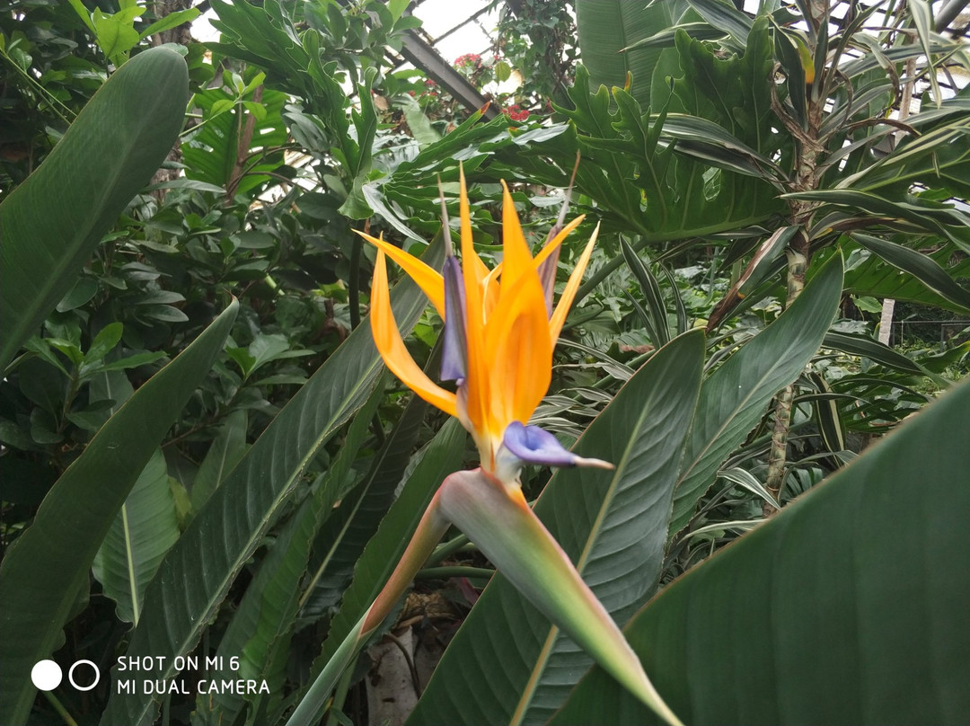 Kryvyy Rih Botanical Garden-Kryvyy Rih必去景点
