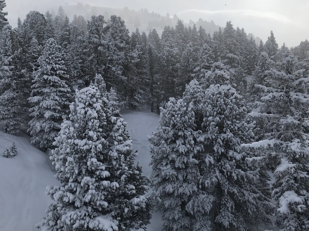 Hochfugen Skigebiet景点图片