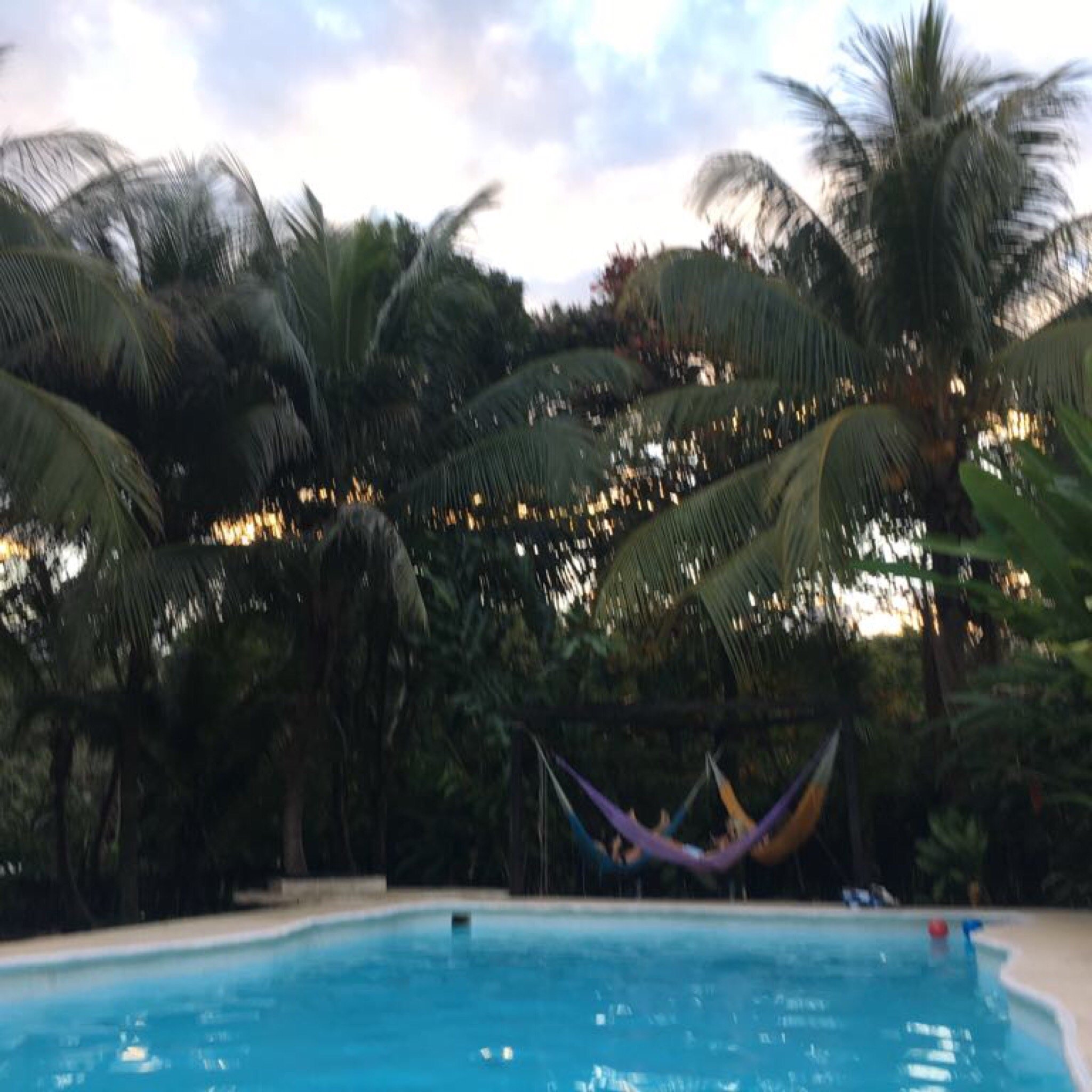 Casa Guacamaya-官方