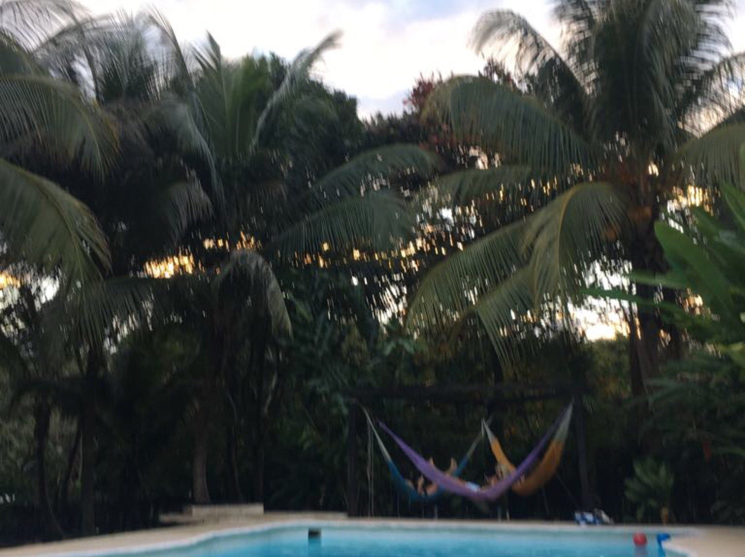 Tumbala酒店住宿-Casa Guacamaya