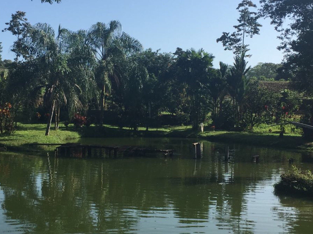 Finca Sura