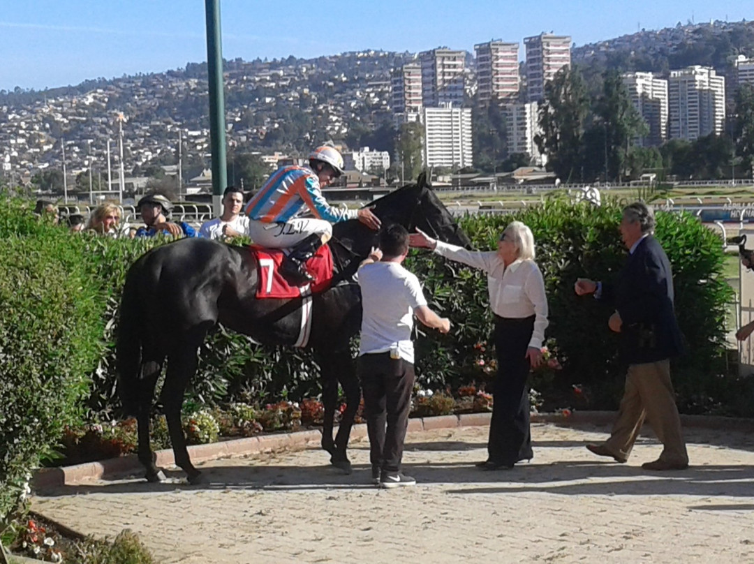 Valparaíso Sporting-比尼亚德尔马必去景点