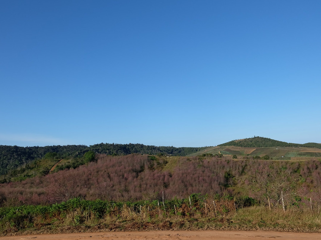 Phoo Lom Lo Mountain景点图片
