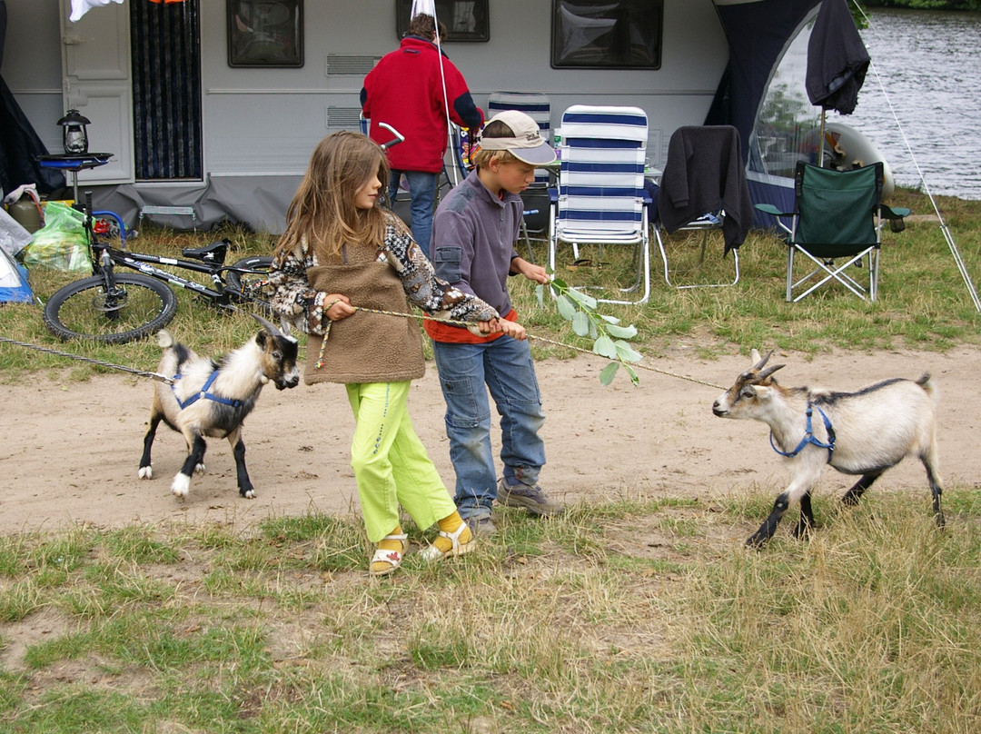 Campingplatz Hexenwaeldchen