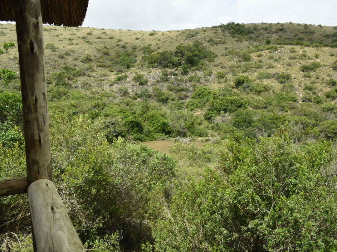 Lalibela Wildlife Reserve主图