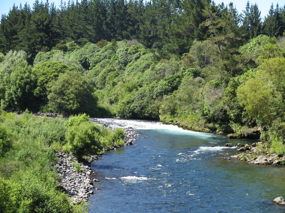 Tongariro River Trail景点图片