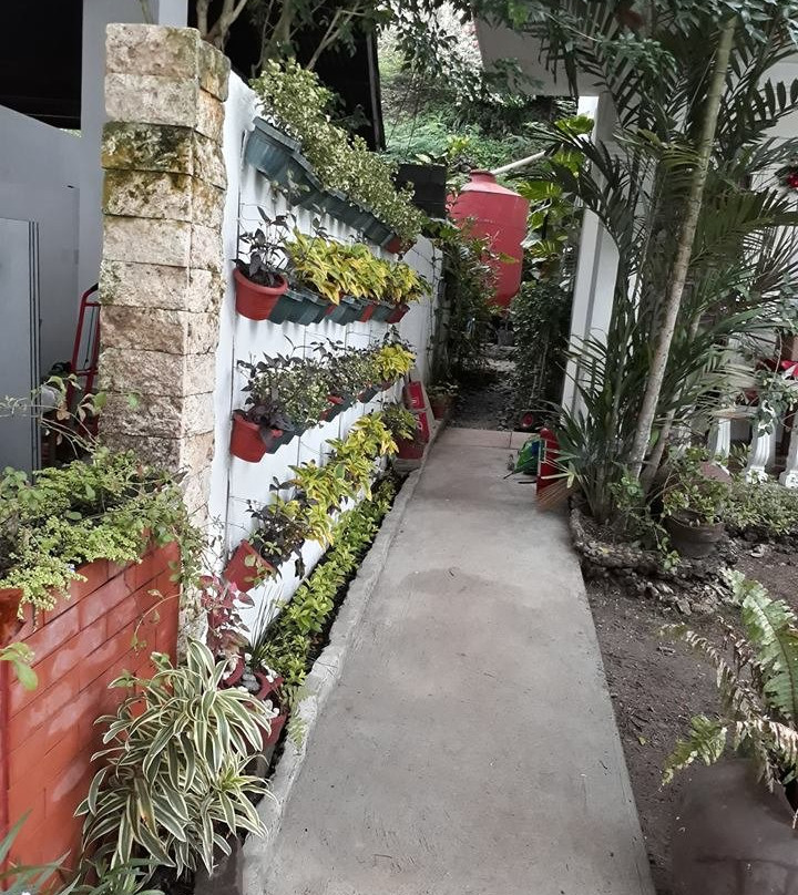 Blue Waters Resort主图