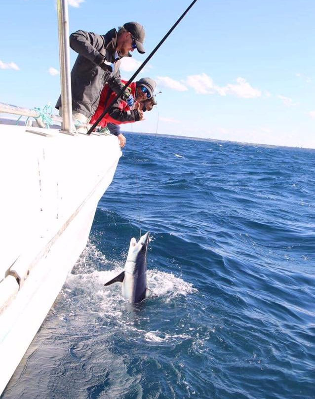 Sydney Sea Charters-巴尔曼必去景点