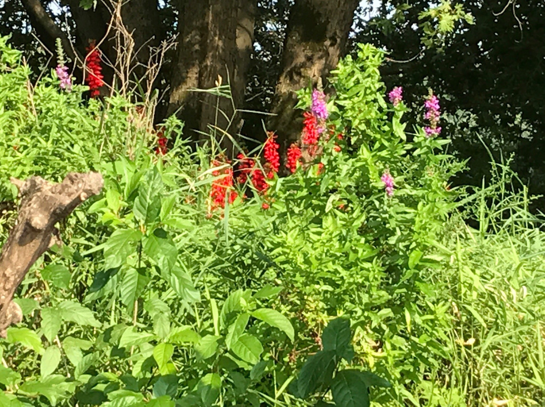Mattabassett River-克伦威尔必去景点