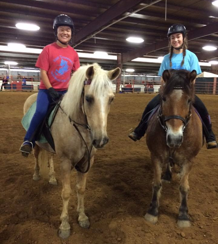 Louisville Equestrian Center景点图片