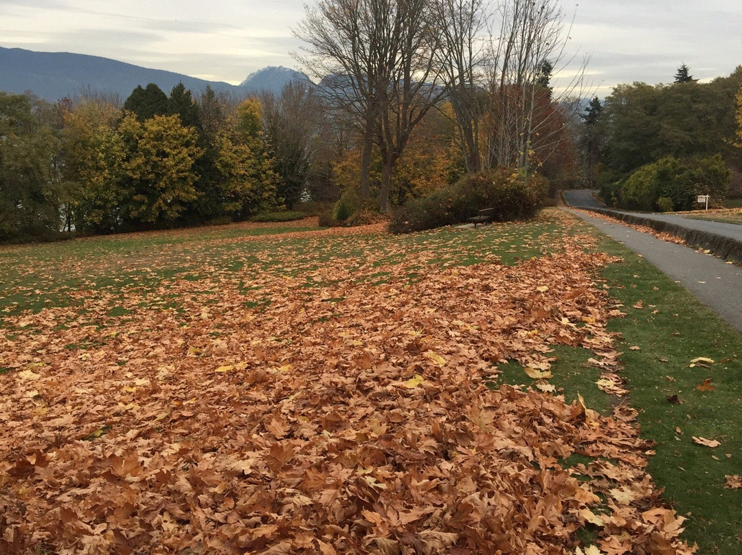 Foreshore Park-纽卡斯尔必去景点