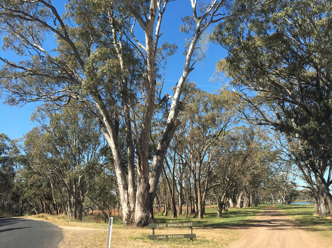 Lake Bringalbert-Apsley必去景点