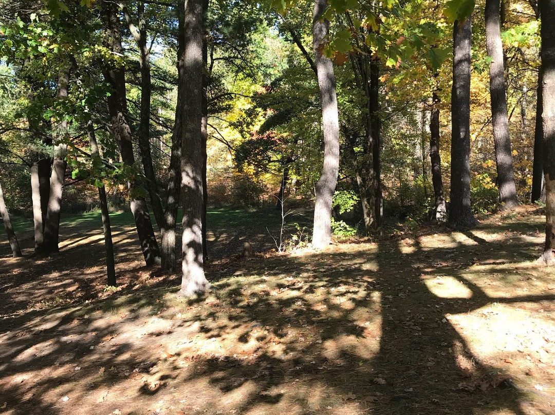 Townsend Park景点图片