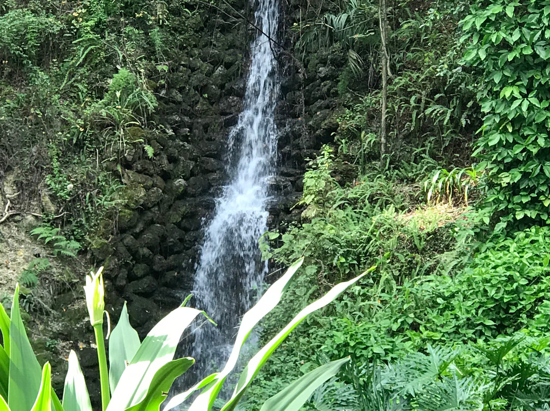 Rainbow Springs Family Campground