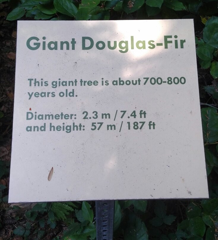 Heritage Forest-魁利克姆海滩必去景点