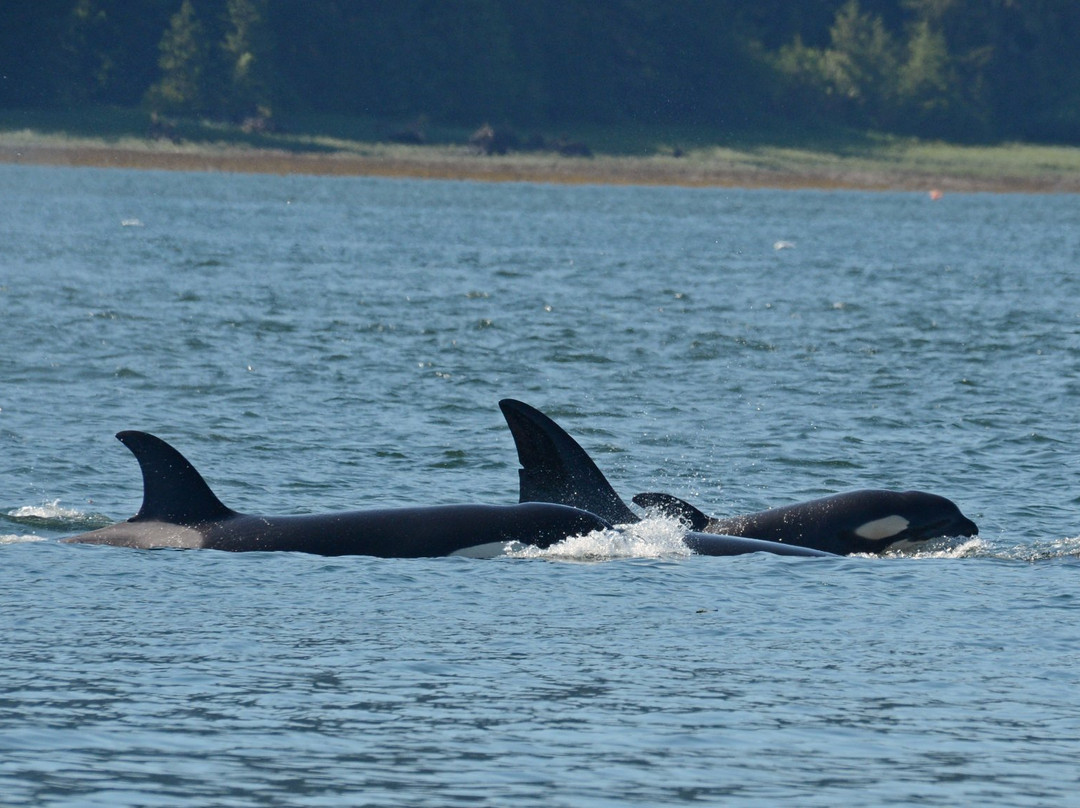 Petersburg Visitor Information Center-Petersburg必去景点