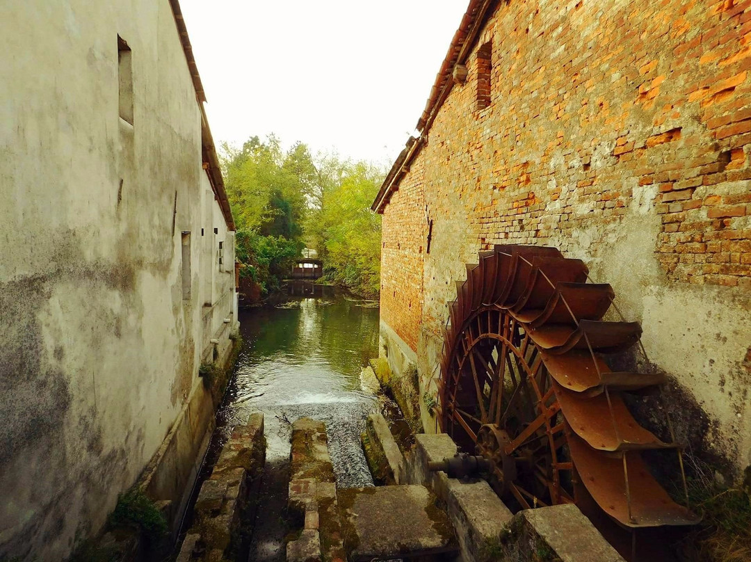 Cascina Castellaro  - Corteolona景点图片