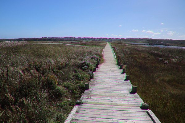 Dominion Beach Provincial Park-Dominion必去景点