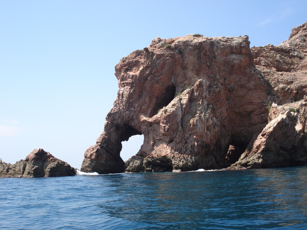 Berlengoest actividades maritimo-turisticas Lda-佩尼切必去景点