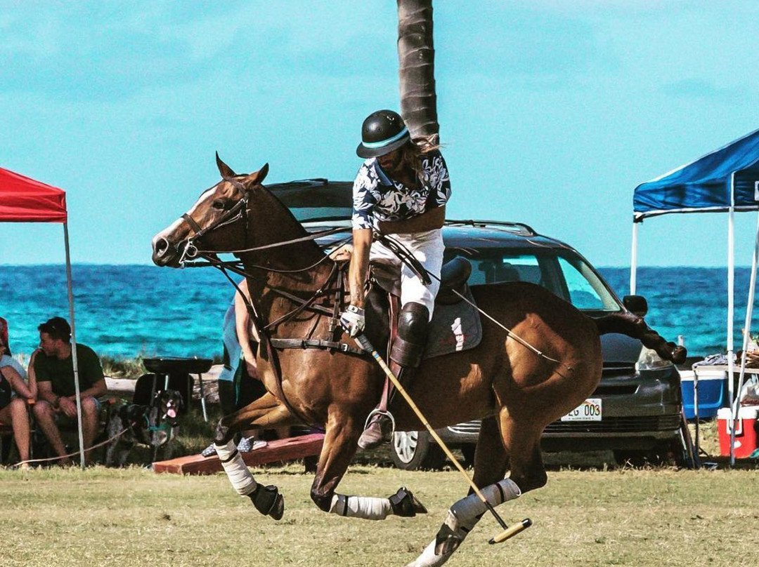 Hawaii Polo Club-瓦亚禄必去景点
