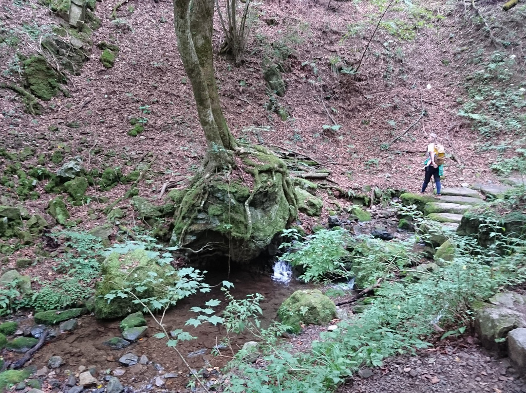 Ayahiro Falls-青梅市必去景点