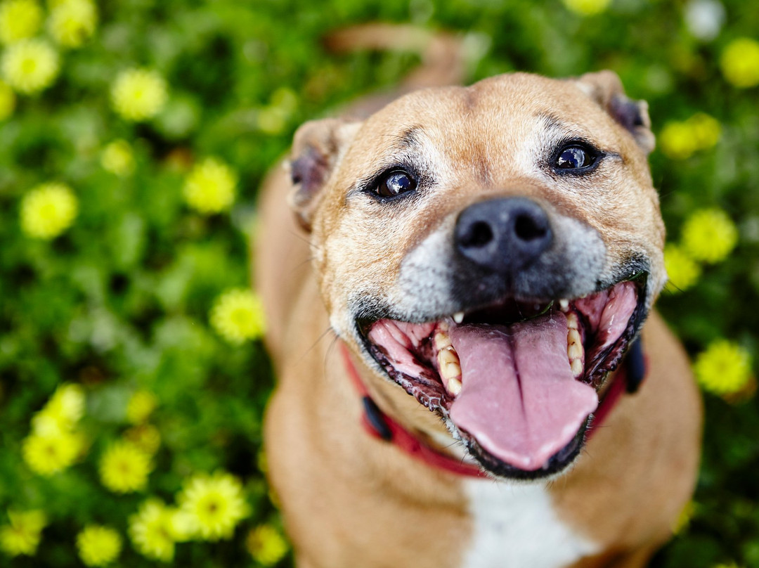 Warramunda Estate-Woori Yallock必去景点