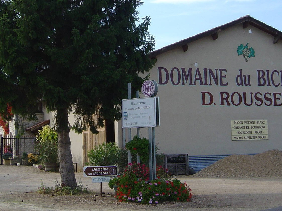 Domaine du Bicheron景点图片