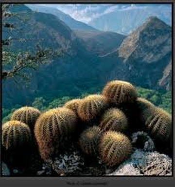 Reserva de la Biosfera Barranca de Metztitlán