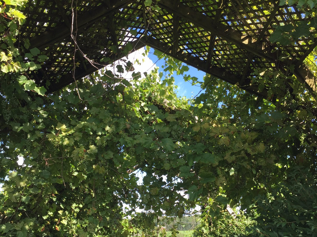 Vignoble de la Bauge  -Brigham必去景点