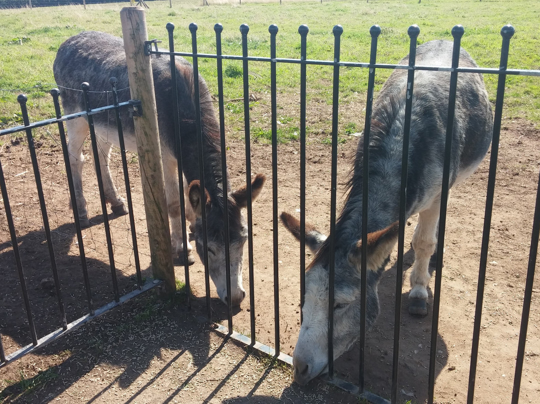Oak Tree Farm-Stonnall必去景点