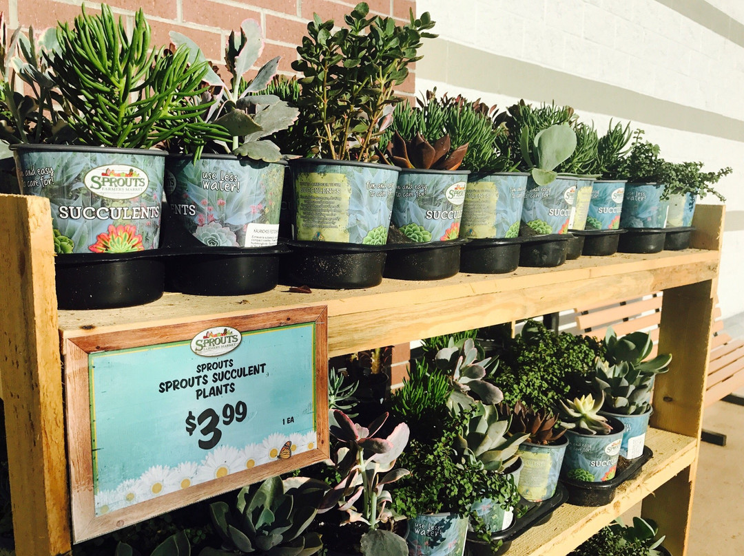 Sprouts Farmers Market景点图片