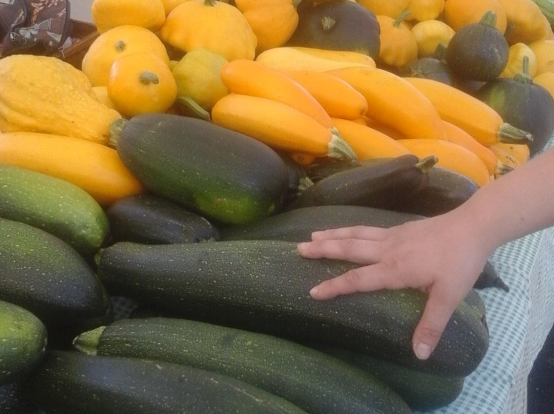 Salem Saturday Market-塞勒姆必去景点