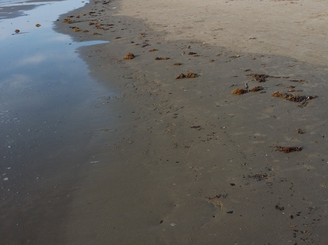 San Jose Island-阿兰瑟斯港必去景点