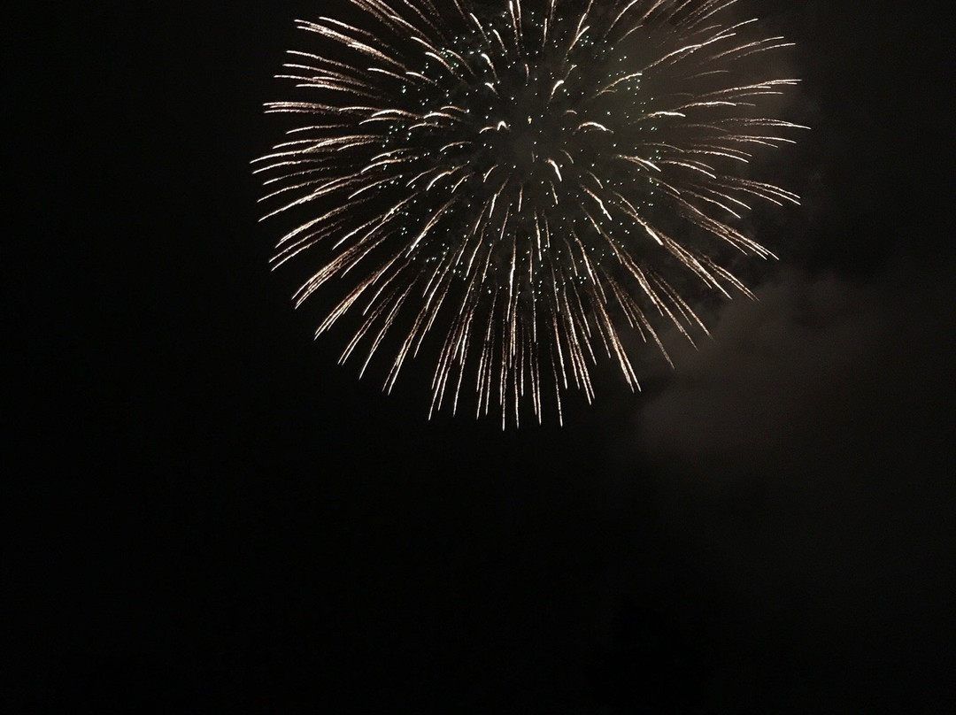 Yamanakako Fireworks Festival Hokosai景点图片