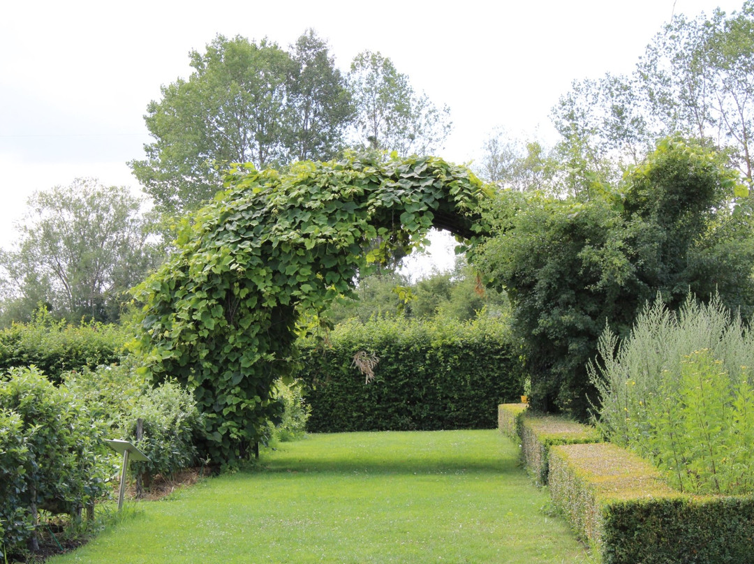 Jardin Botanique de Marnay sur Seine景点图片
