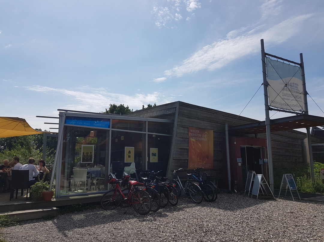 Ahrenshoop旅游攻略图片