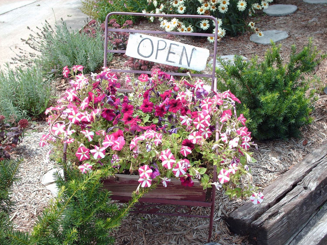 Heavenly Habitat Bed & Breakfast主图