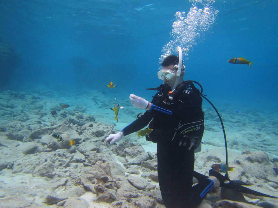 Happy Island (Tokashiki) - Day Tour-那霸市必去景点