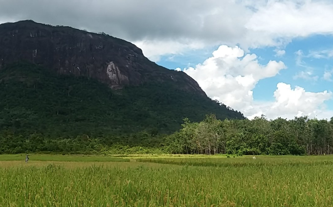 Mount Kelam-Sintang必去景点