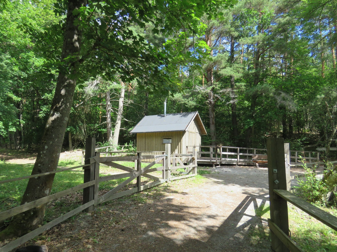 Hjälstaviken Naturreservat-Enkoping必去景点
